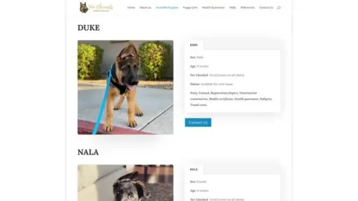 Screenshot of