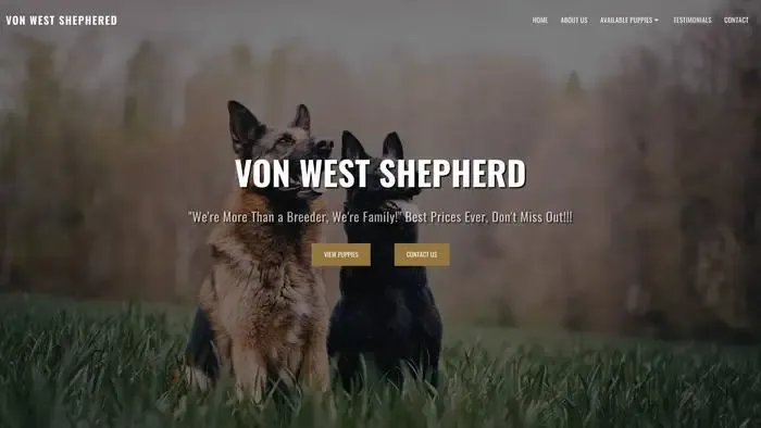 Screenshot of|