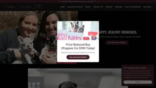 Screenshot of