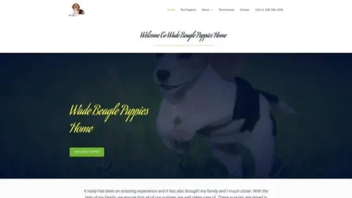 Screenshot of