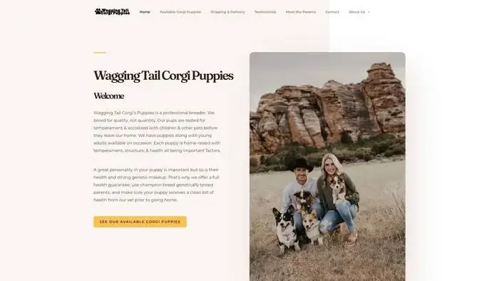 Screenshot of