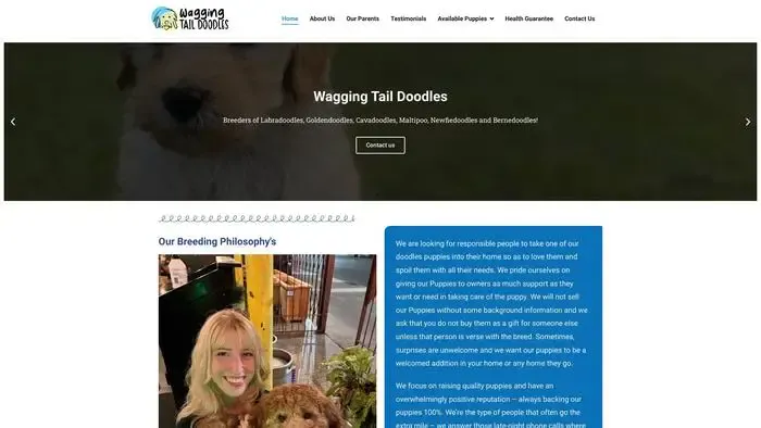 Screenshot of