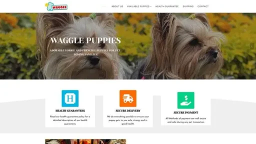 Screenshot of