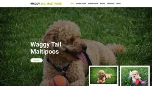 Screenshot of||