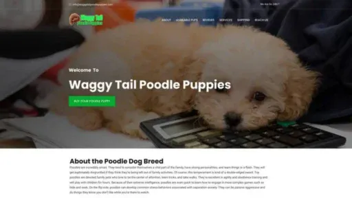 Screenshot of||