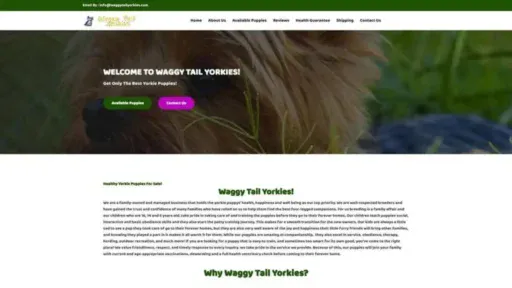 Screenshot of||