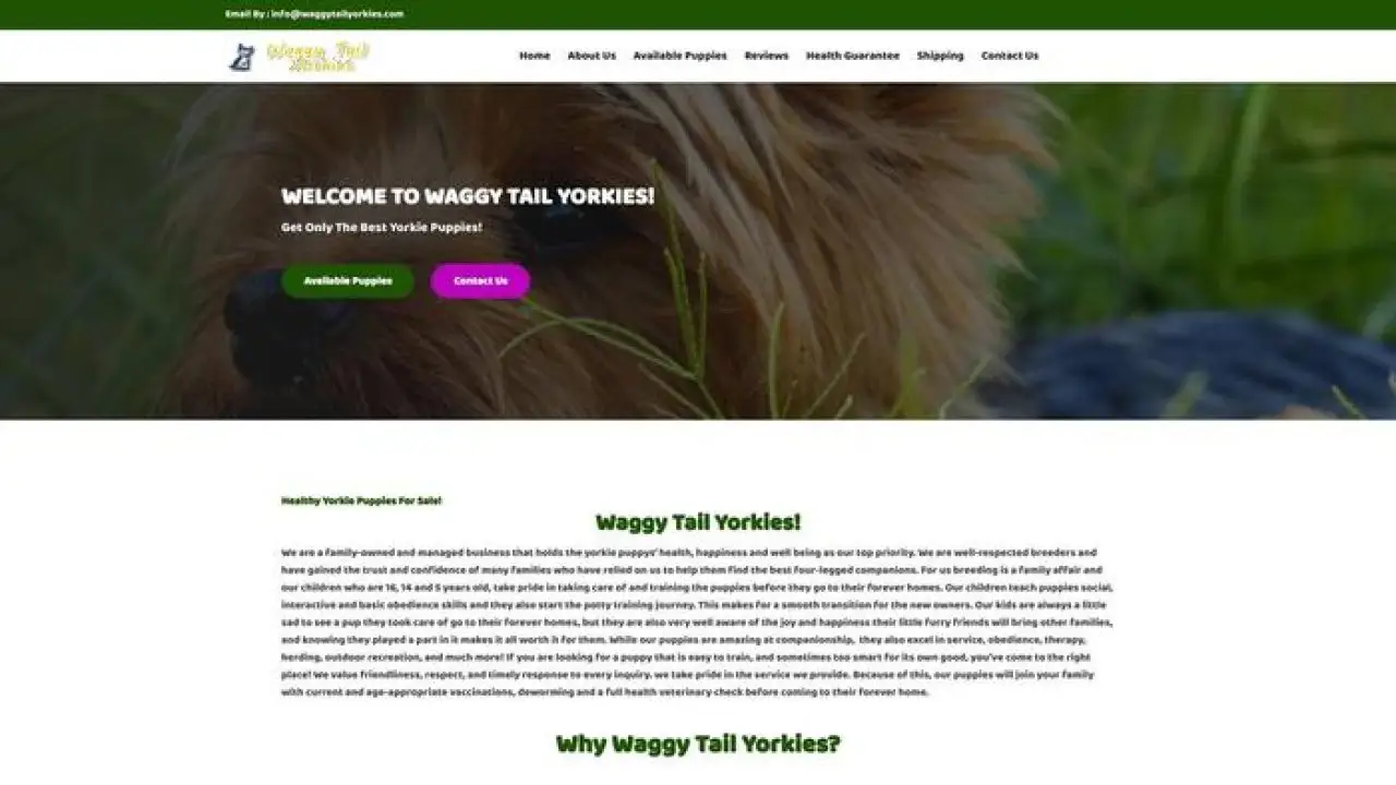Screenshot of||