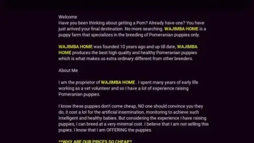Screenshot of