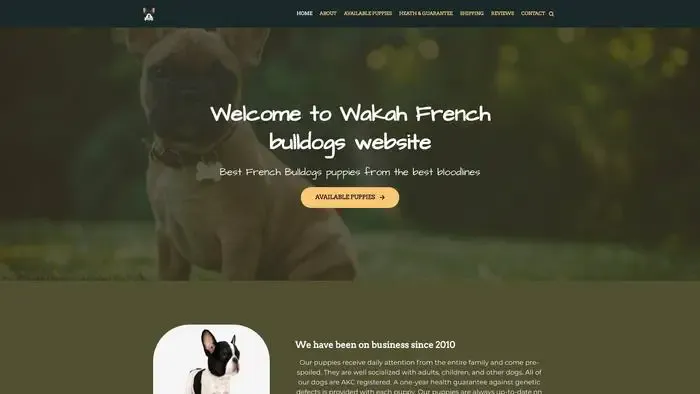 Screenshot of