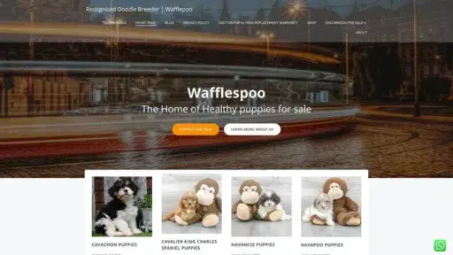 Screenshot of