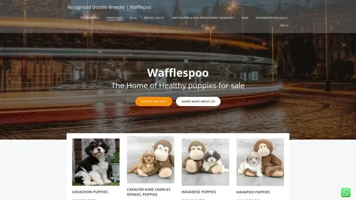 Screenshot of
