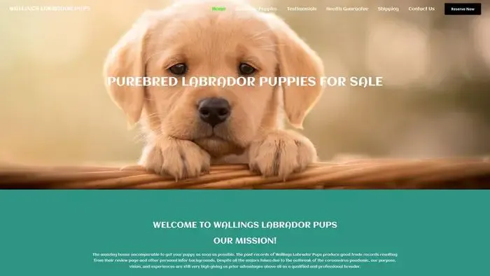 Screenshot of