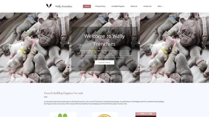 Screenshot of