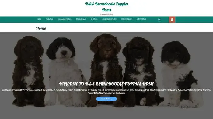 Screenshot of