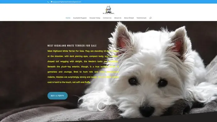 Screenshot of