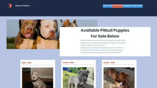 Screenshot of