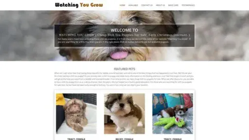 Screenshot of