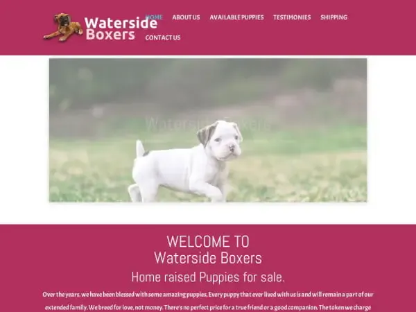 Screenshot of