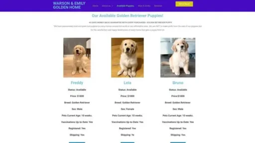 Screenshot of