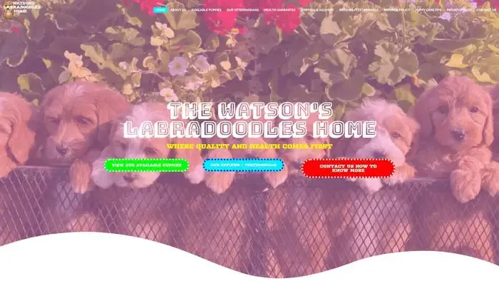 Screenshot of