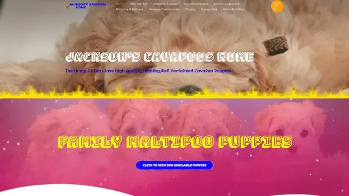 Screenshot of