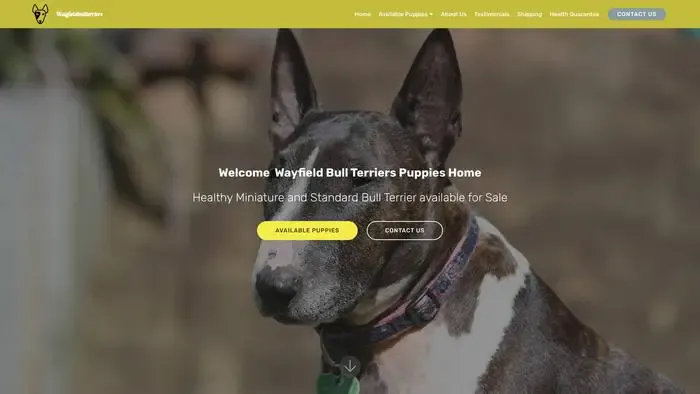 Screenshot of