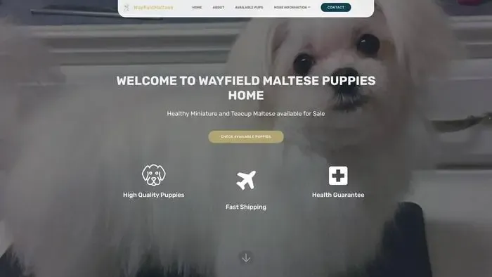 Screenshot of