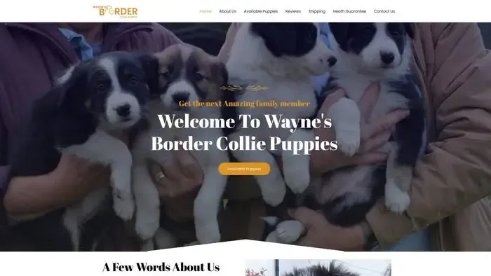 Screenshot of