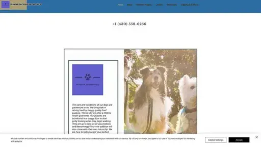 Screenshot of