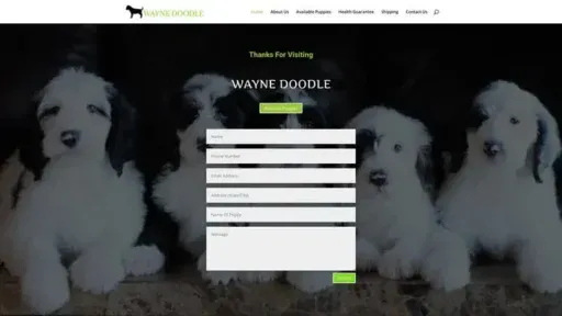 Screenshot of