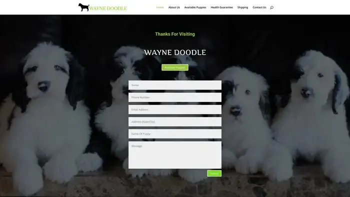 Screenshot of