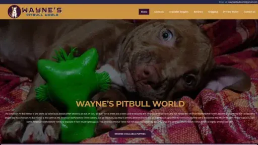 Screenshot of