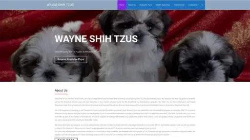 Screenshot of