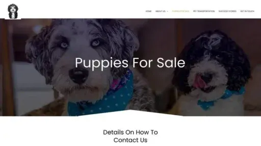 Screenshot of