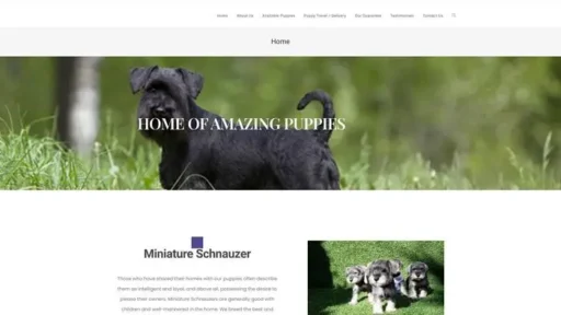 Screenshot of