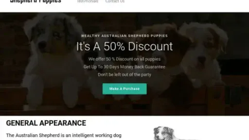 Screenshot of