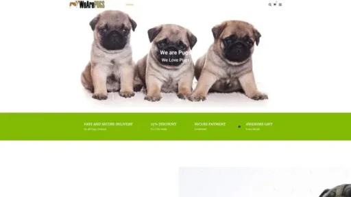 Screenshot of