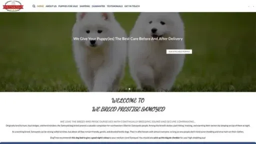 Screenshot of