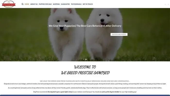 Screenshot of