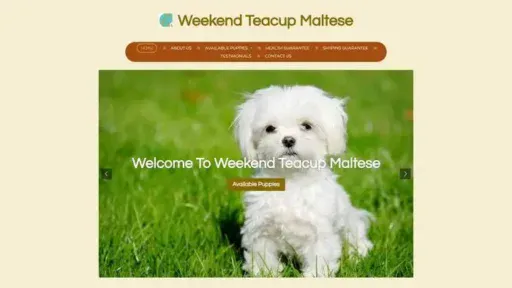 Screenshot of