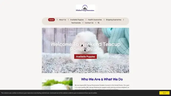 Screenshot of
