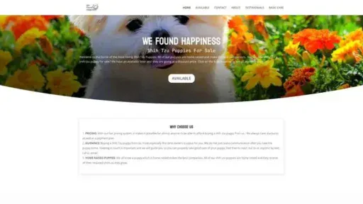 Screenshot of