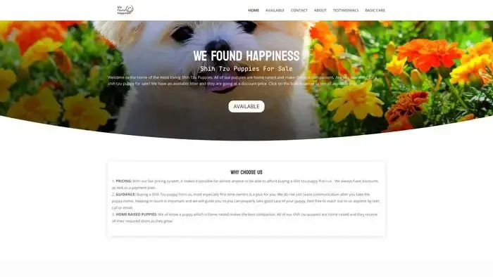 Screenshot of