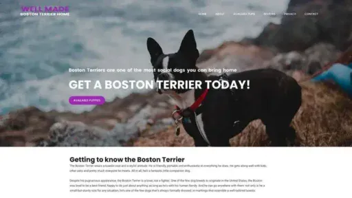 Screenshot of