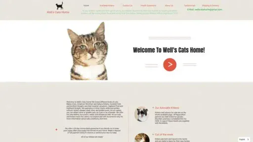 Screenshot of