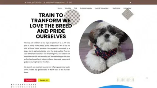 Screenshot of
