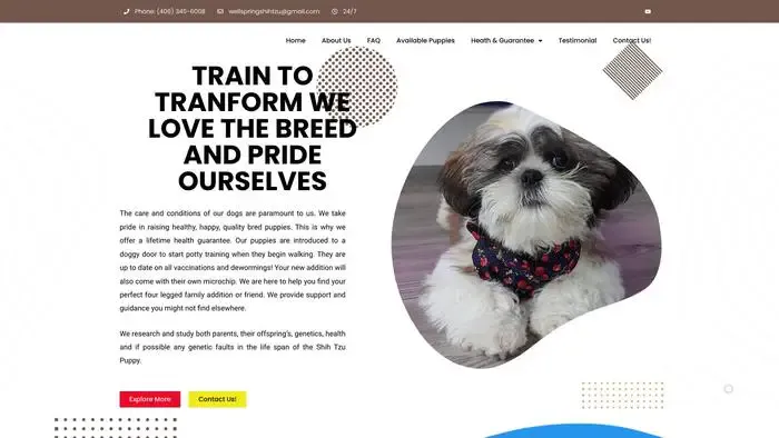 Screenshot of