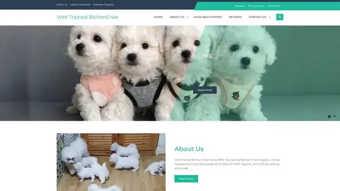 Screenshot of