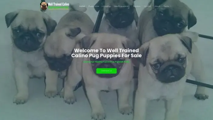 Screenshot of