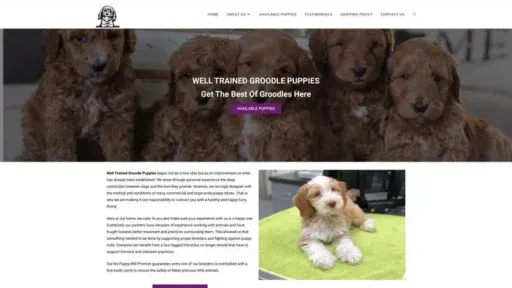 Screenshot of